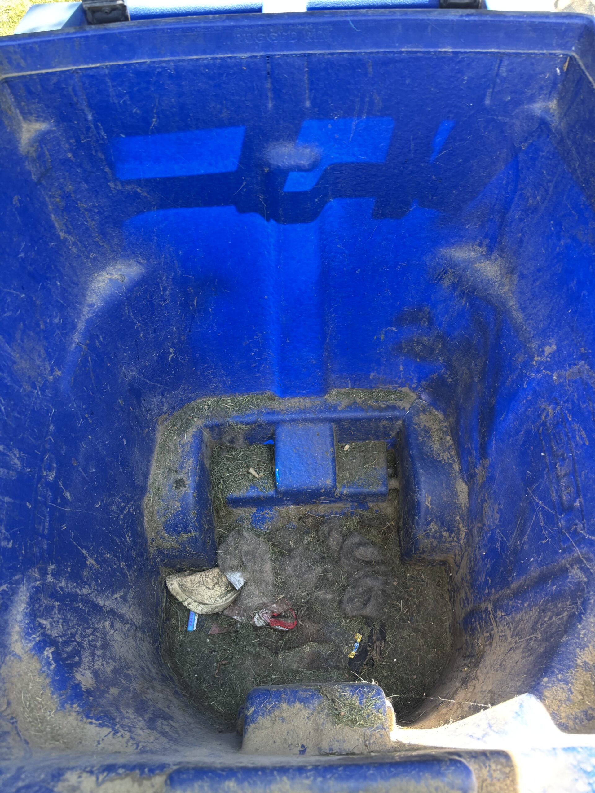 Before Cleaning in Frederick CO
